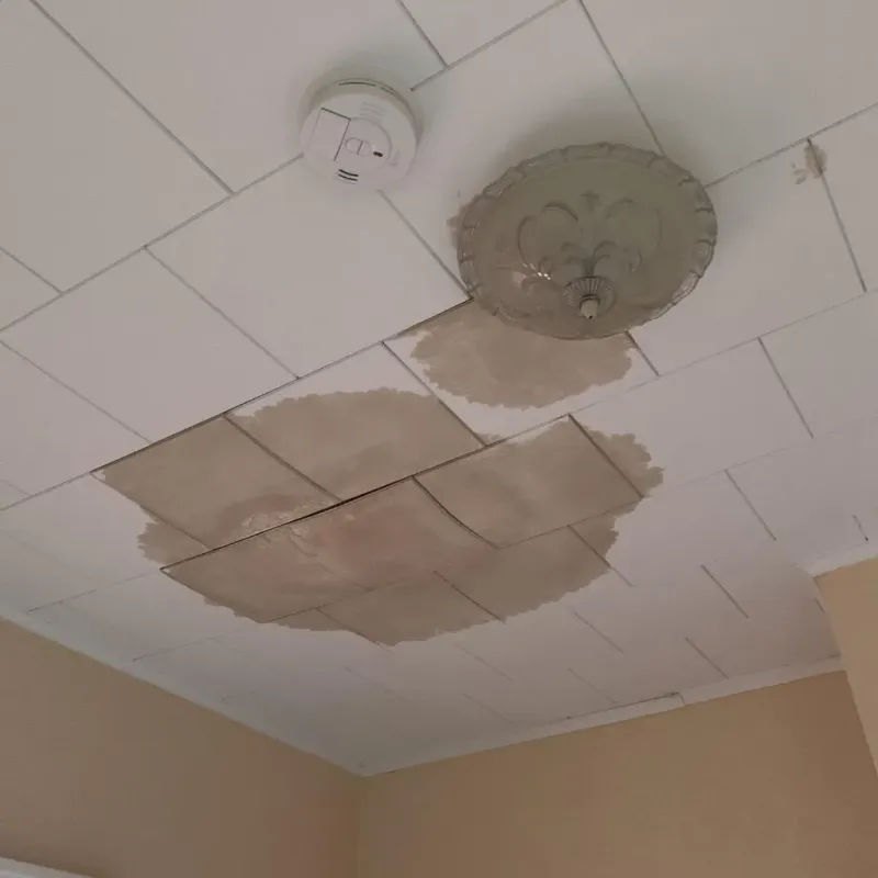Ceiling Water Damage Repair in Dukes County, MA